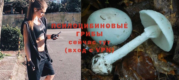 прущие крисы Алзамай