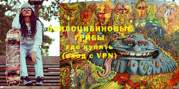СК Алексин