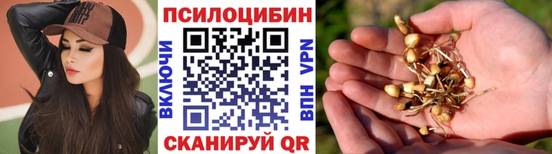 где купить наркоту  Камешково  Галлюциногенные грибы Psilocybine cubensis 